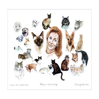 Sheelagh "The Rescuer" - 30" x 25" Sheelagh "The Rescuer" - 30" x 25"